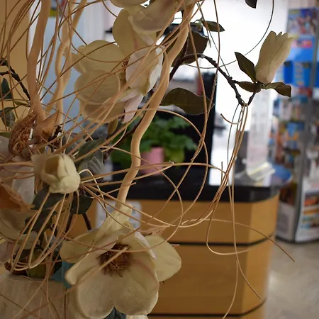 Bamby 3* Римини